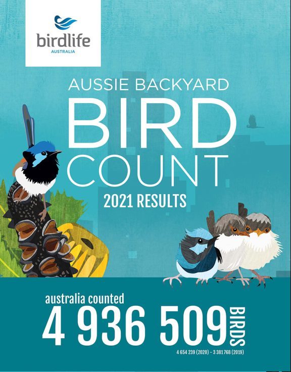 aussie backyard bird count