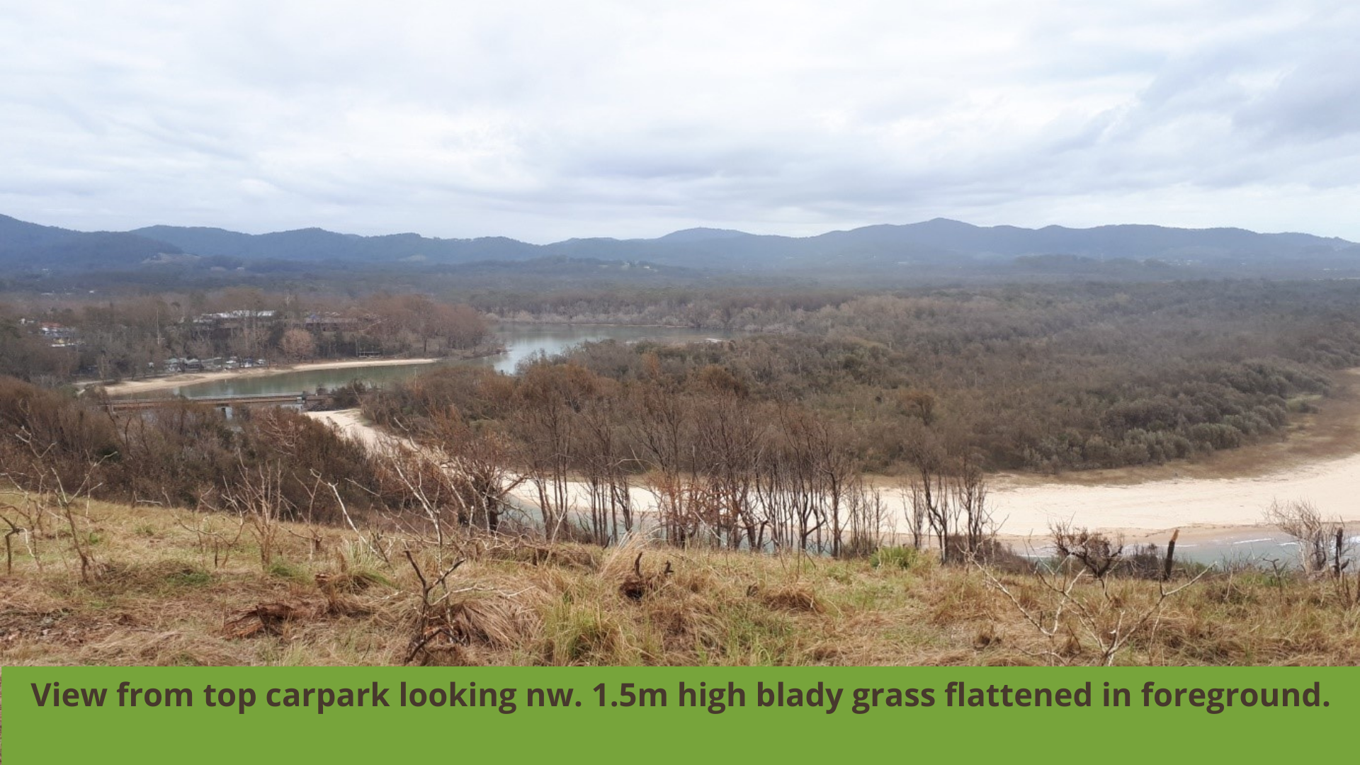 Boambee Headland Recovery Update (2)