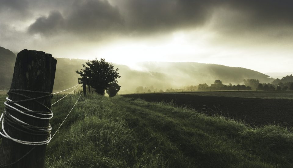 Funding for replacement of boundary fencing