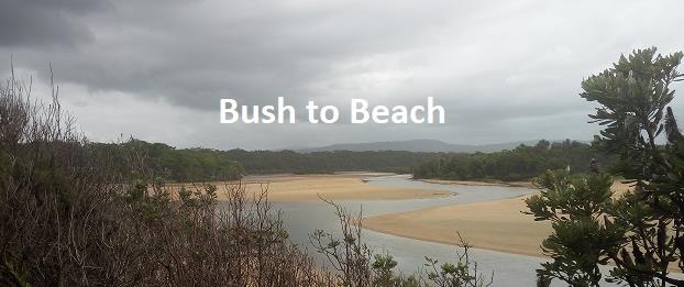 Coffs Harbour Landcare Newsletter