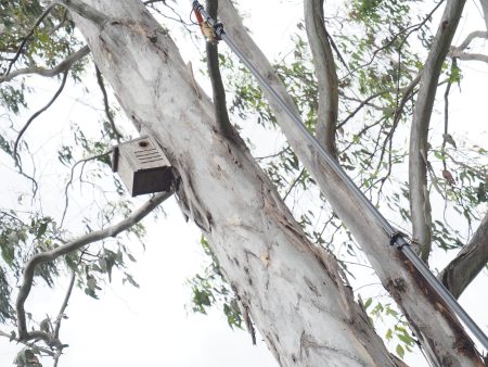 Bushfire Nestbox Recovery Program