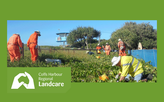 NSW Landcare Program 2023 -2027