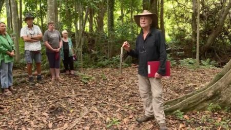 Botanist Dr Rob Kooyman surveys the site