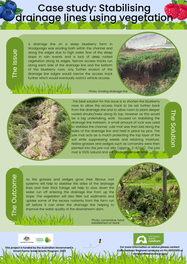 Ground and vegetation cover best management practices for intensive ...