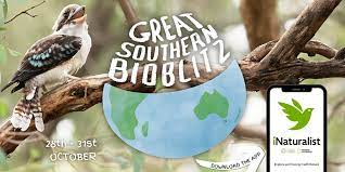 Great Southern Bioblitz 2022