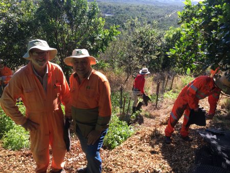 Boambee Headland Tree Planting Day