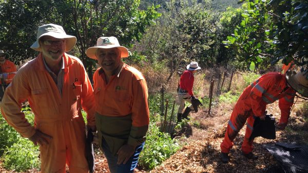 Boambee Headland Tree Planting Day