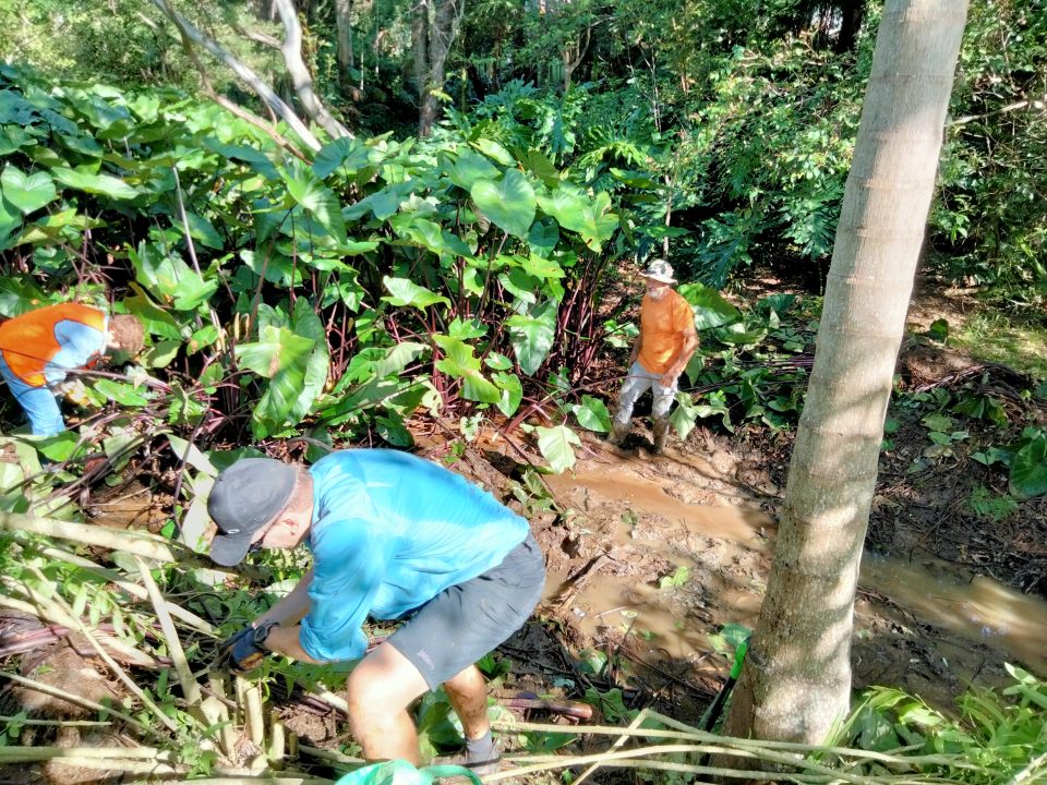 Landcare volunteers hard at work