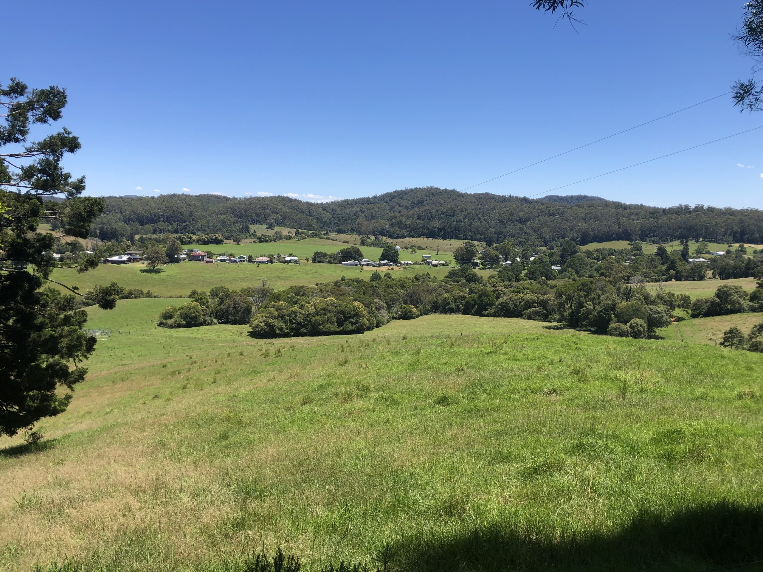 Project Updates 2022 Coffs Harbour Regional Landcare