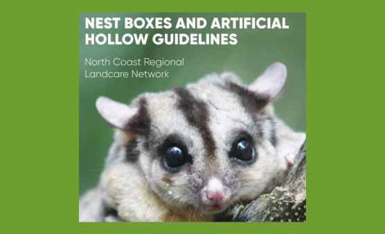 Nest boxes and hollows