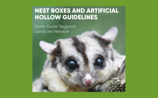 Nest boxes and hollows