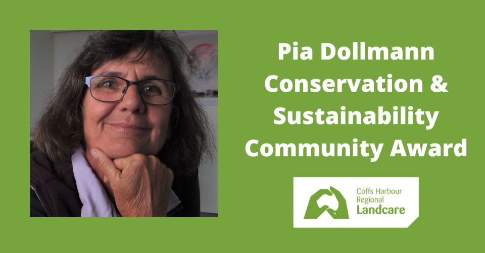 Pia Dollmann Award nominations open