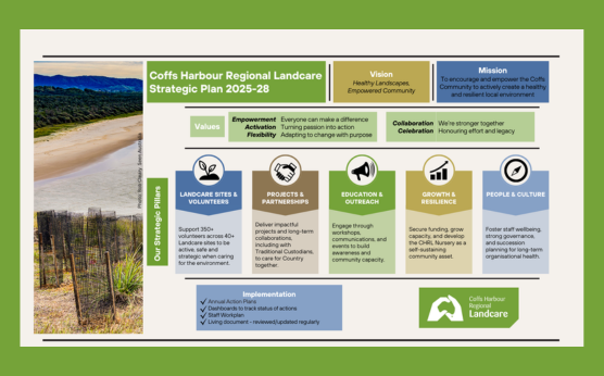 CHRL Strategic Plan 2025 - 2028