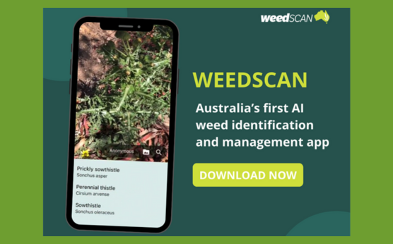 Australia’s first AI weed identification and management app