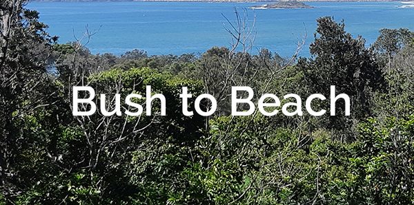 Bush to Beach Coffs Harbour Landcare Newsletter