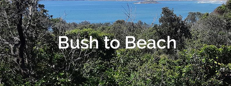 Bush to Beach Coffs Harbour Landcare Newsletter